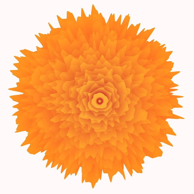 flores de caléndula aisladas