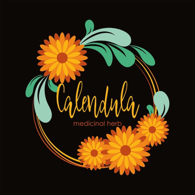 Flores de caléndula