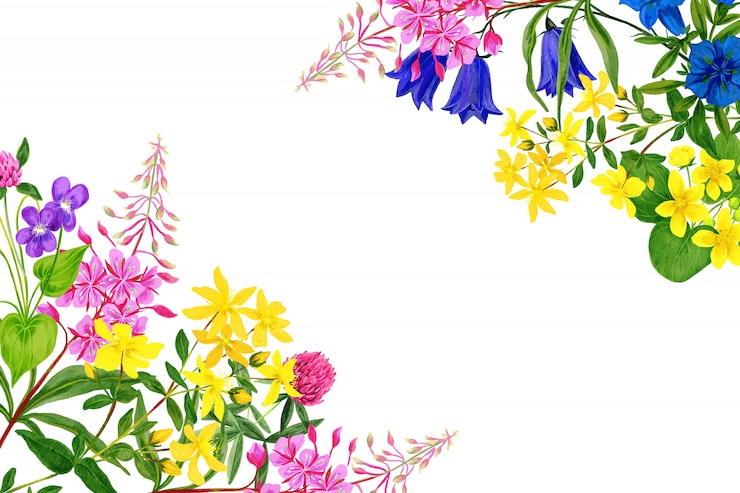 Vector flores de campo de acuarela, colores brillantes, marco de esquina