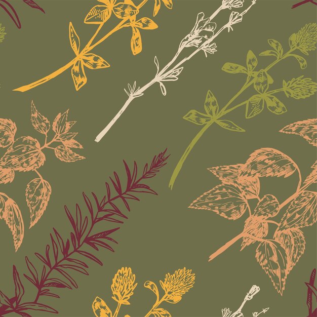 Flores de campo de plantas silvestres ornamento abstracto Patrón transparente de vector dibujado a mano Ornamento floral en estilo de boceto retro Diseño botánico vintage