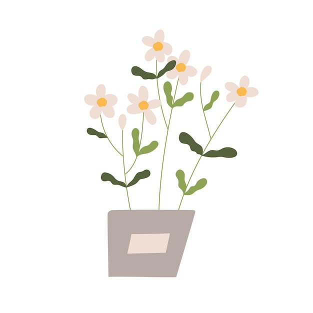 Flores caseras en maceta Planta floral en flor que crece en maceta Flores encantadoras y delicadas de plantas de interior Flora interior suave Ilustración vectorial plana de colores aislada sobre fondo blanco