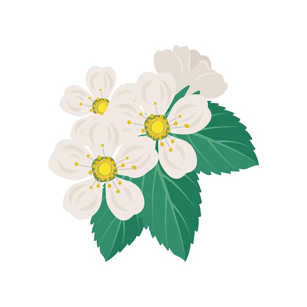 Flores de cerezo blanco en rama con hojas Decoración de primavera planta de árbol frutal floreciente Ilustración plana vectorial