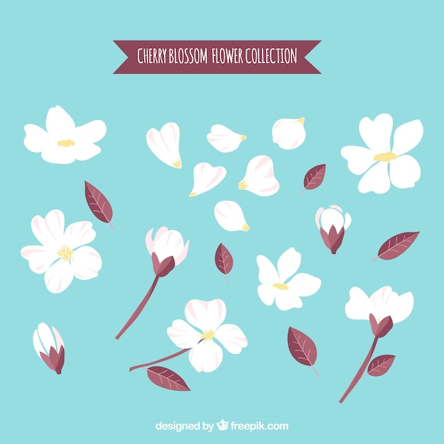 Flores de cerezo y hojas