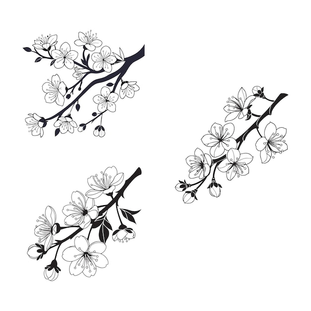 Flores de cerezo SVG