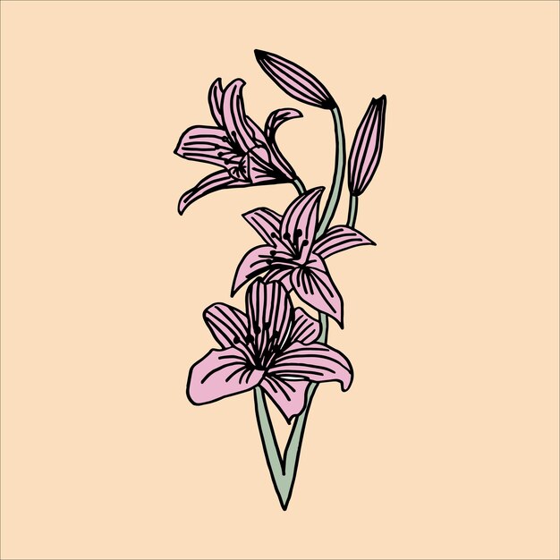 Vector flores de color rosa