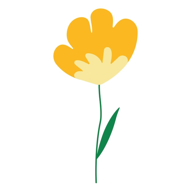flores de colores de primavera para decoración y regalo