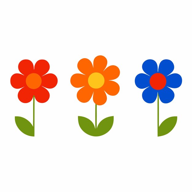 las flores coloridas se muestran con diferentes colores y la palabra colores