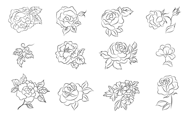 Flores de contorno dibujadas a mano flor rosas peonía margarita planta y hojas bosquejo dibujo elementos botánicos hoy en día jardín ramos vector conjunto