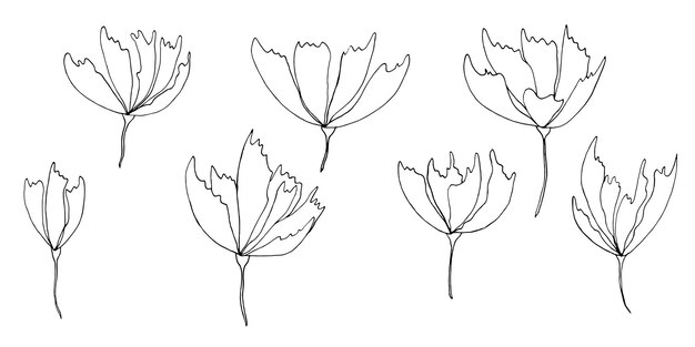 Flores de contorno de patrones sin fisuras de vector