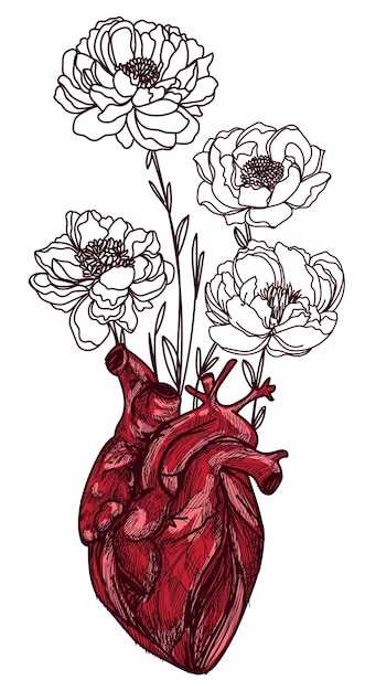 Las flores crecen del dibujo del bosquejo de la mano del corazón