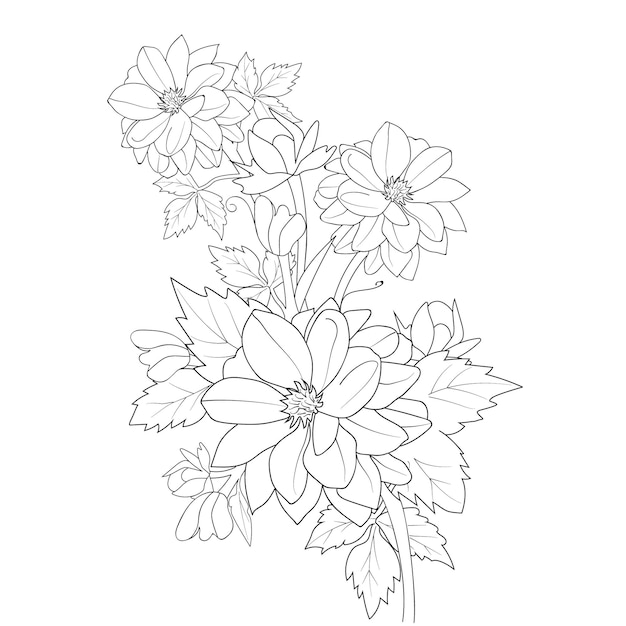 Flores Dahlia aisladas en blanco y negro. Doodle art para colorear libro Zntangle ilustración