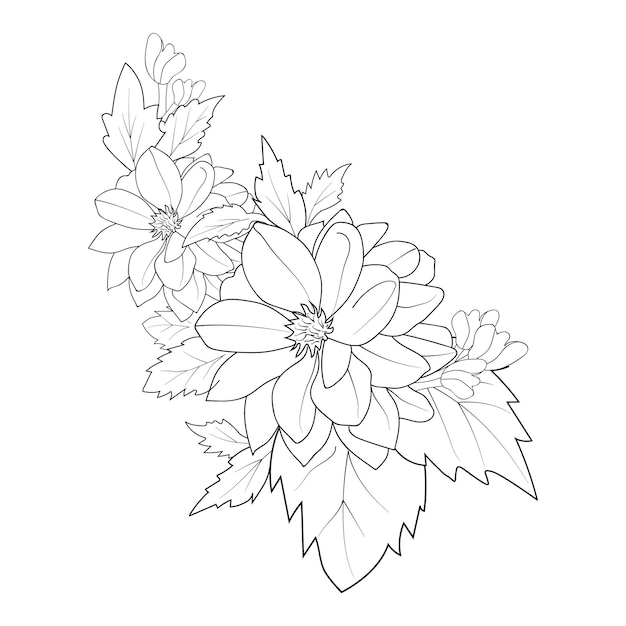 Flores Dahlia aisladas en blanco y negro. Doodle art para colorear libro Zntangle ilustración