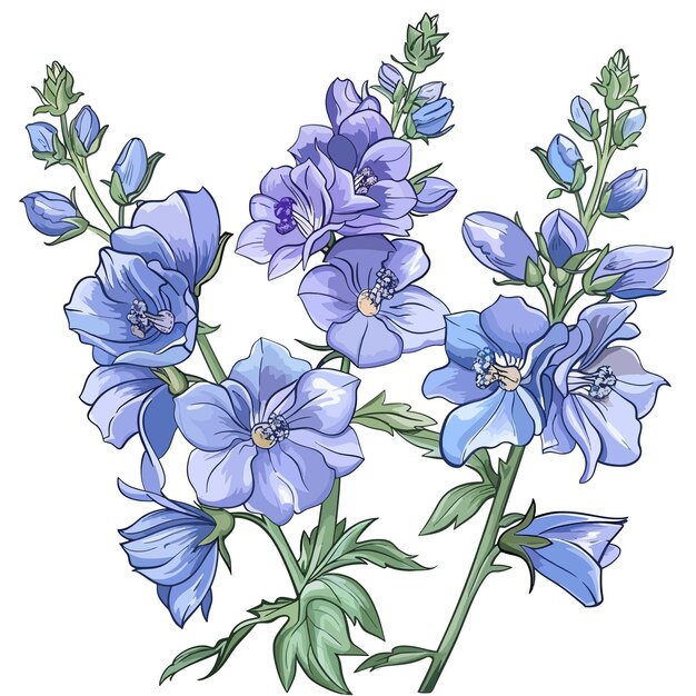 Vector flores de delfinio