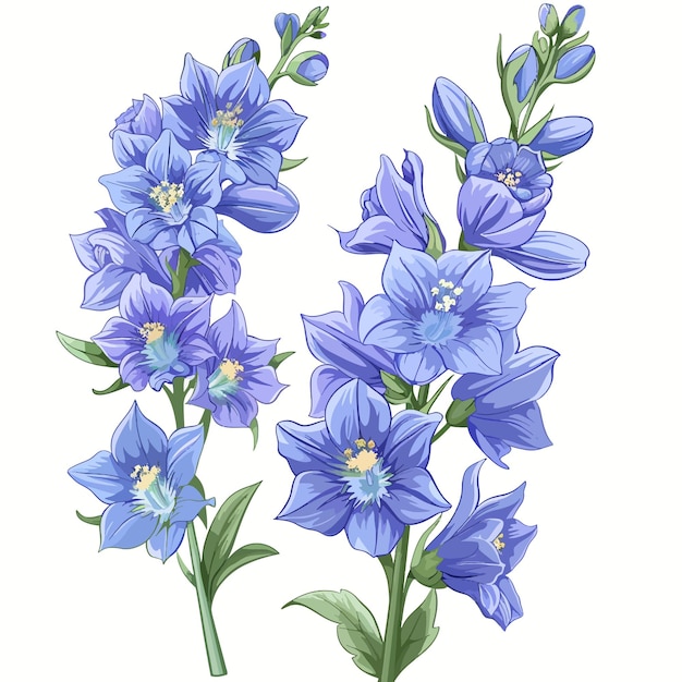 Vector flores de delfinio