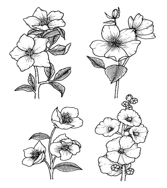 Flores dibujadas a mano con tallos y hojas en blanco y negro