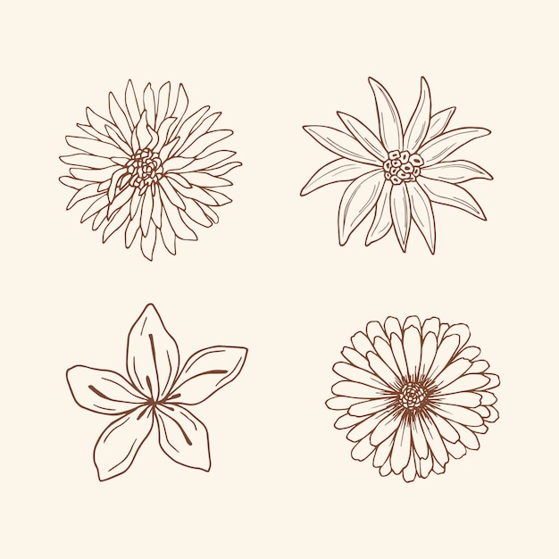 Flores de dibujo elegante