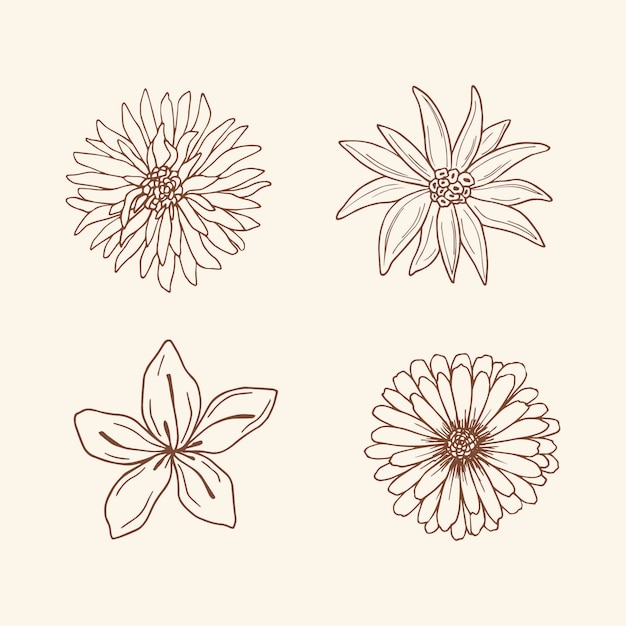 Vector flores de dibujo elegante