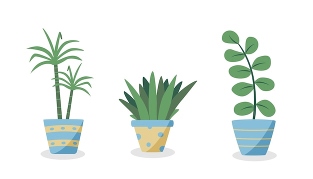Flores de dibujos animados en macetas Ilustración vectorial de plantas de interior para el interior