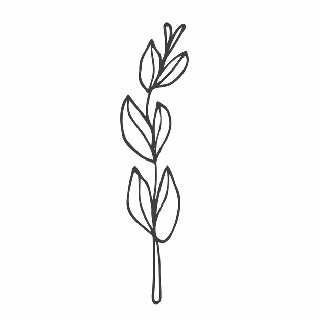 Flores de fideos dibujadas a mano. Bosquejo de flor minimalista simple