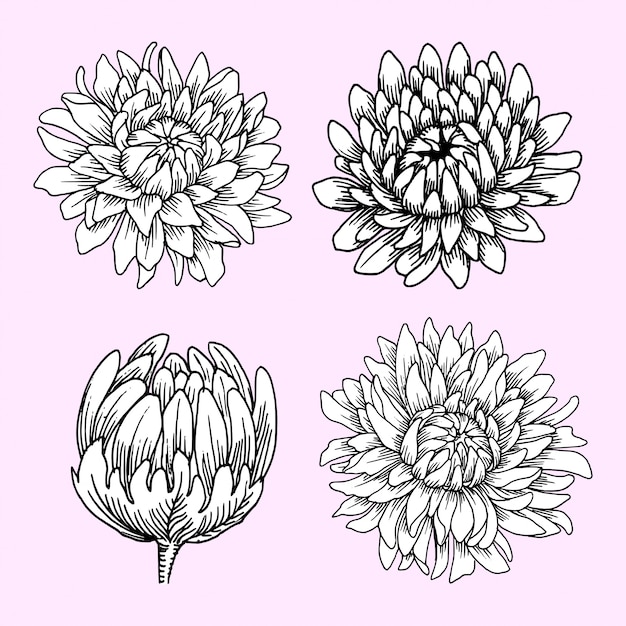 flores en flor