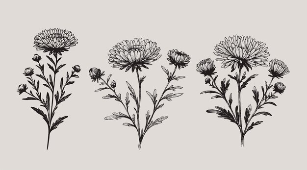 flores en un fondo gris