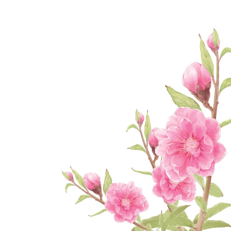 flores en el fondo