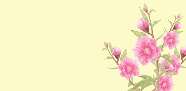flores en el fondo