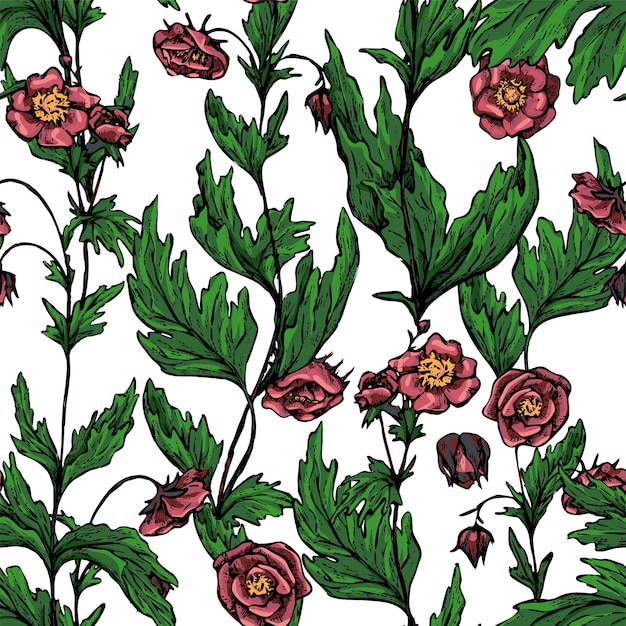 Flores de Geum Rivale, adorno decorativo de plantas silvestres. Patrón transparente de vector dibujado a mano. Diseño floral para fondo, envoltura, textil, papel pintado.