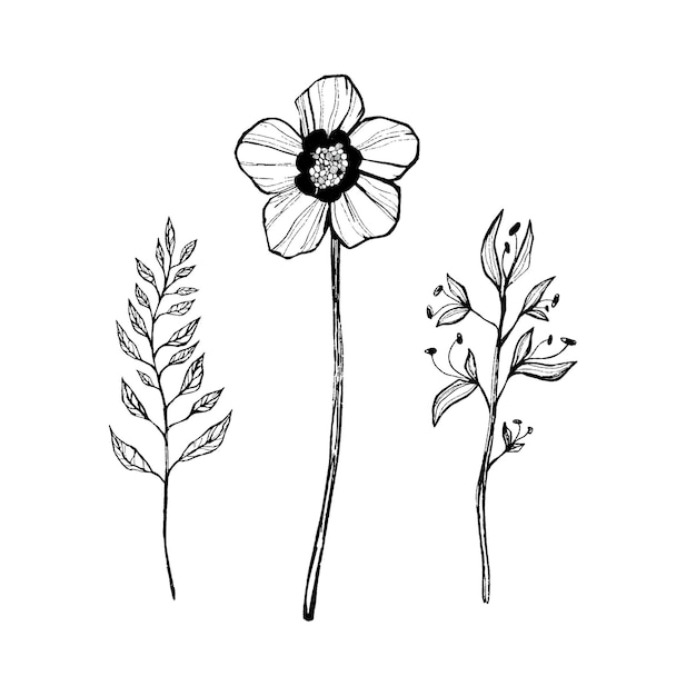 Flores gráficas vectoriales