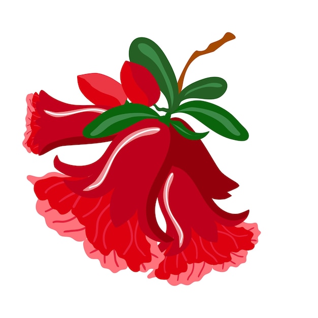 Flores de granada roja