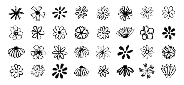 Flores grunge pincel garabateo iconos de flores conjunto flores garabateo tinta dibujado a mano pincel manzanilla