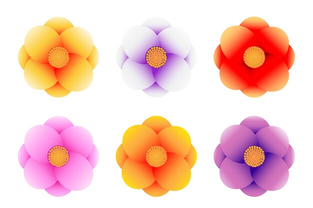 las flores hermosas las flores vector