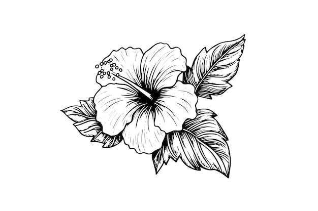 Flores de hibisco en un estilo grabado en madera vintage ilustración vectorial