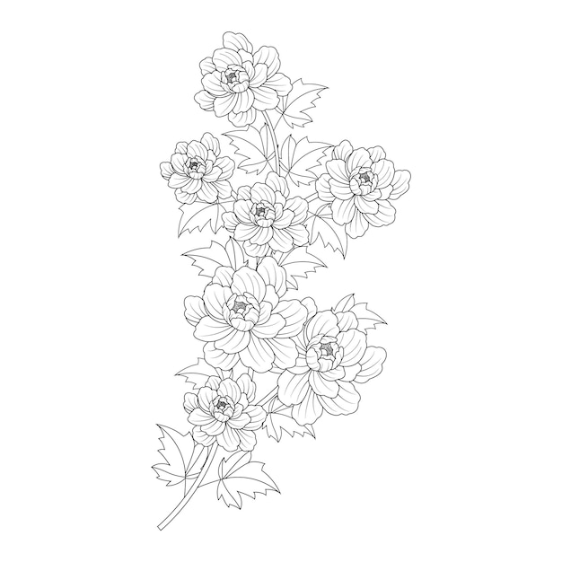 Flores de hibisco con hojas aisladas sobre fondo blanco Diseño gráfico de ilustración vectorial