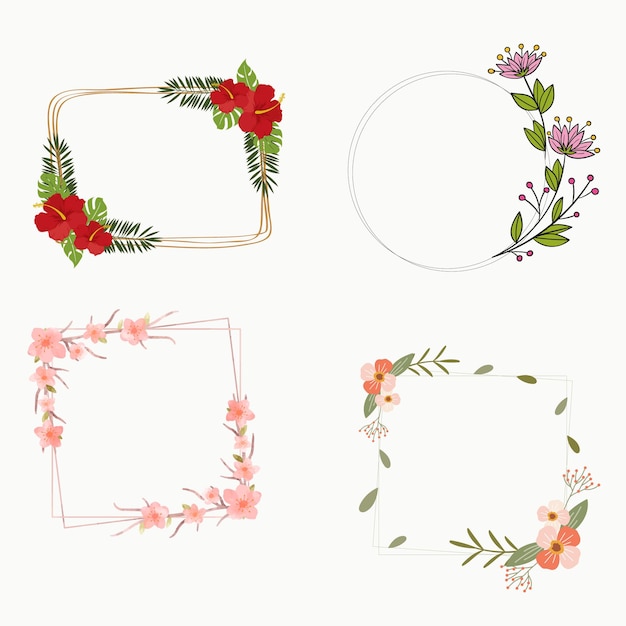 Flores de hierbas silvestres de campo Colección floral de acuarela Conjunto de ramos Frentes de marcos Ilustración