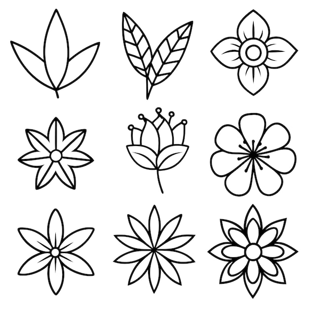 flores y hojas arte de línea colección decorativa vectorial conjunto silueta