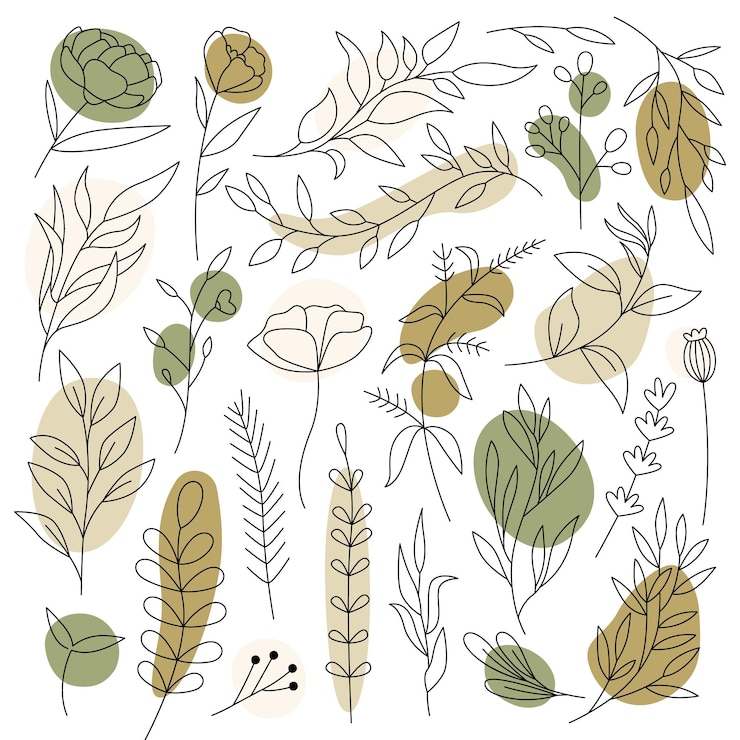 Vector flores y hojas en conjunto de arte lineal diseño floral contemporáneo flor de flores de primavera hermoso ramo