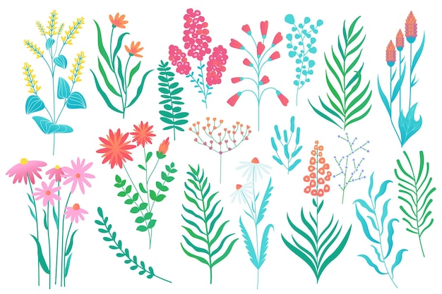 Flores y hojas de dibujos animados elementos florales botánicos abstractos ramo dibujado a mano elementos florales abstractos para el diseño de papel pintado vector aislado conjunto hermosas plantas naturales flor de primavera