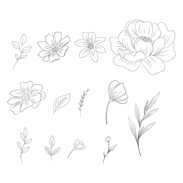 Flores y hojas de peonías elementos vegetales conjuntos ilustración vectorial en blanco y negro