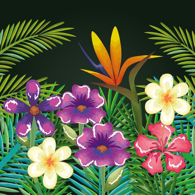 Vector flores y hojas tropicales y exóticas