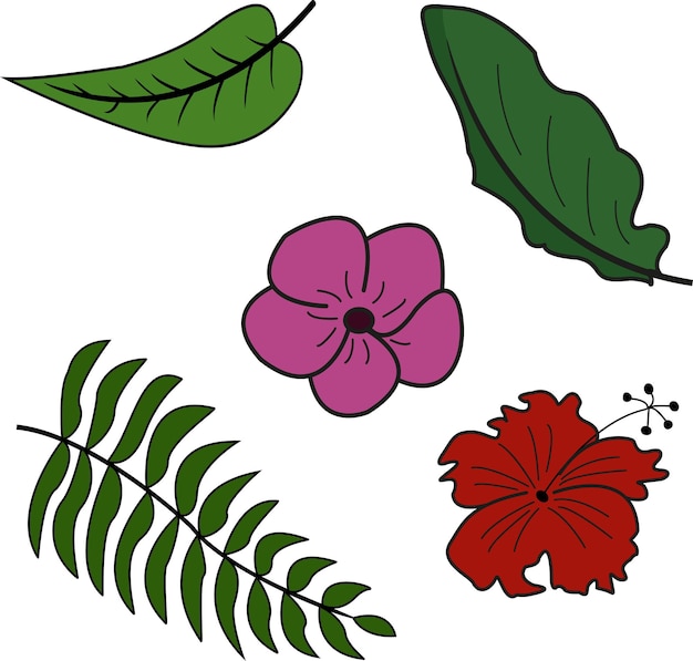 Flores y hojas vectoriales tropicales. plantas exóticas.