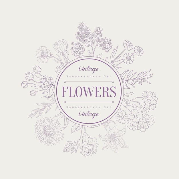 Flores, Ilustración Banner