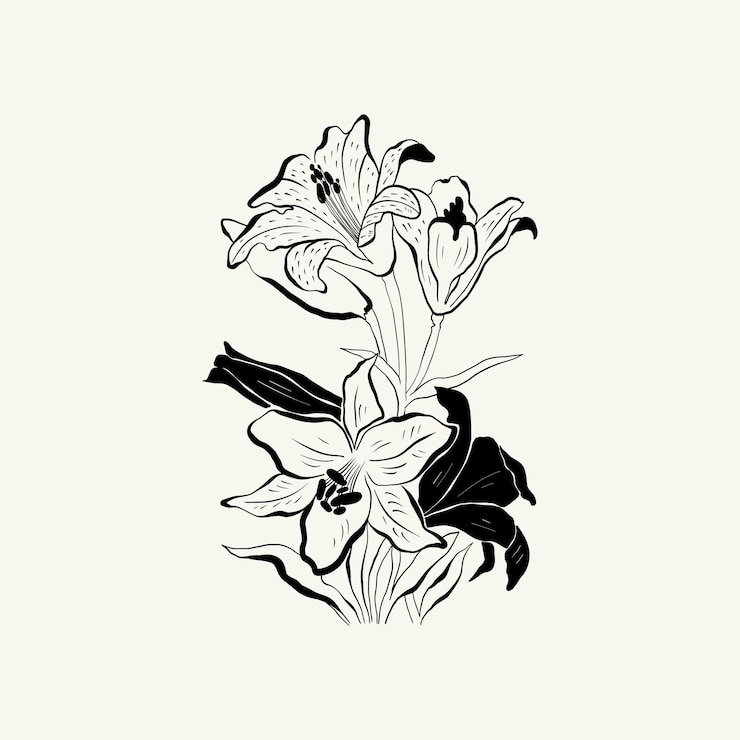 Vector flores, ilustración botánica. tinta negra, línea, estilo garabato.