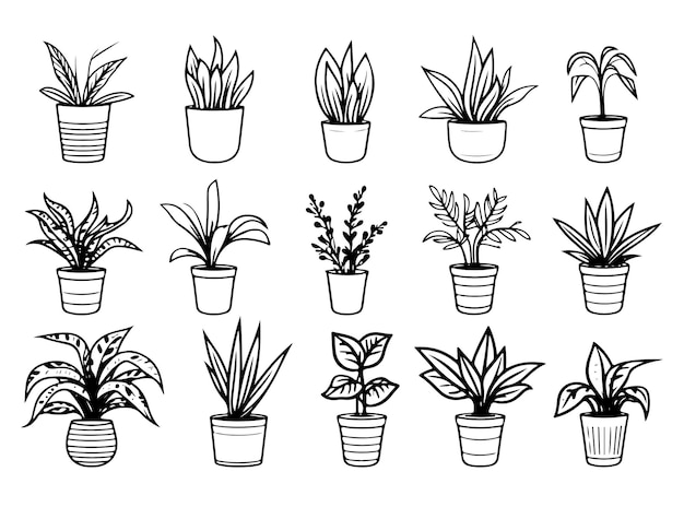 Flores interiores en olla Plantas domésticas de interior Ilustración vectorial de plantas de interior en olla