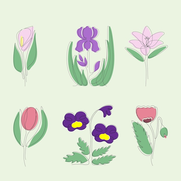 Flores de jardín