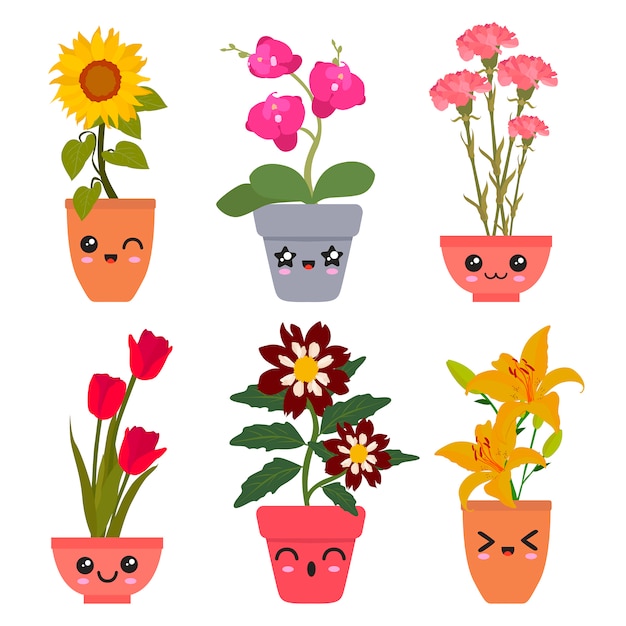 Flores de Kawaii