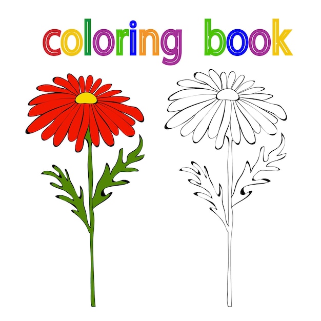 Flores de libro para colorear aislado simple