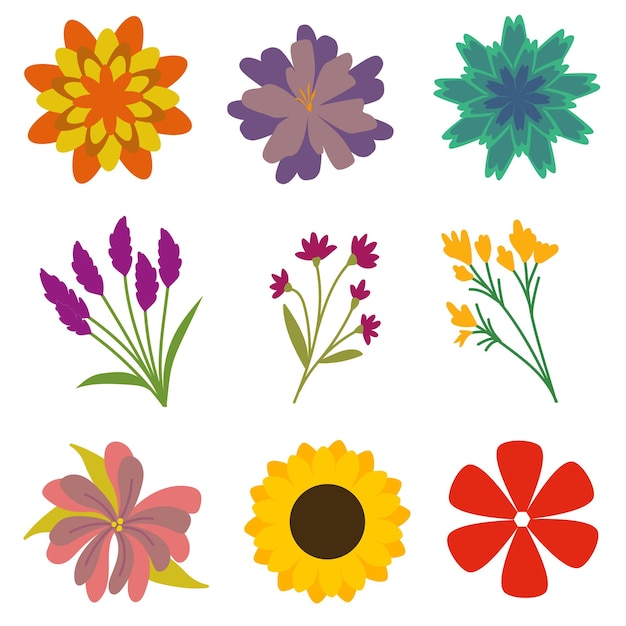 Flores lindas
