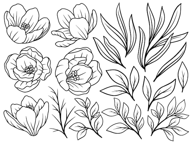 Flores Line Art