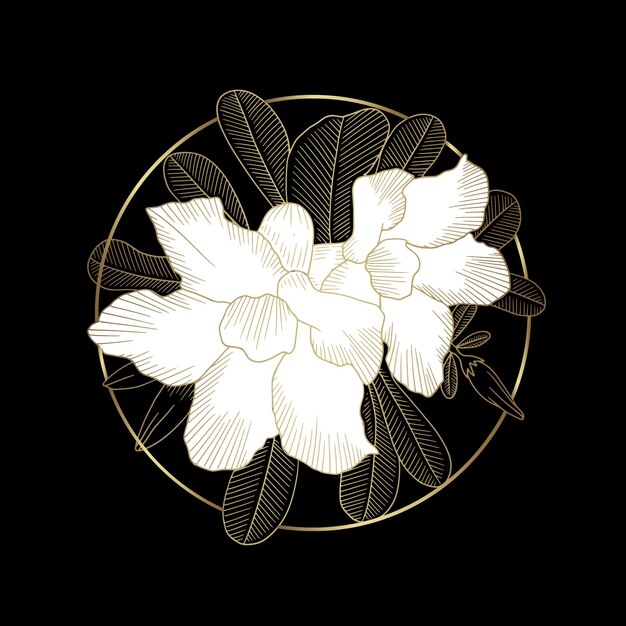 Las flores de lirio florecen en oro y blanco.